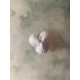 Plaster ceiling light ref. 330 COQUILLAGE